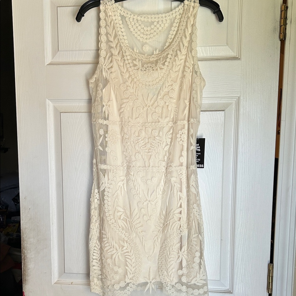 Express Cream Embroidered Dress